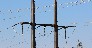 H-Frame Structures